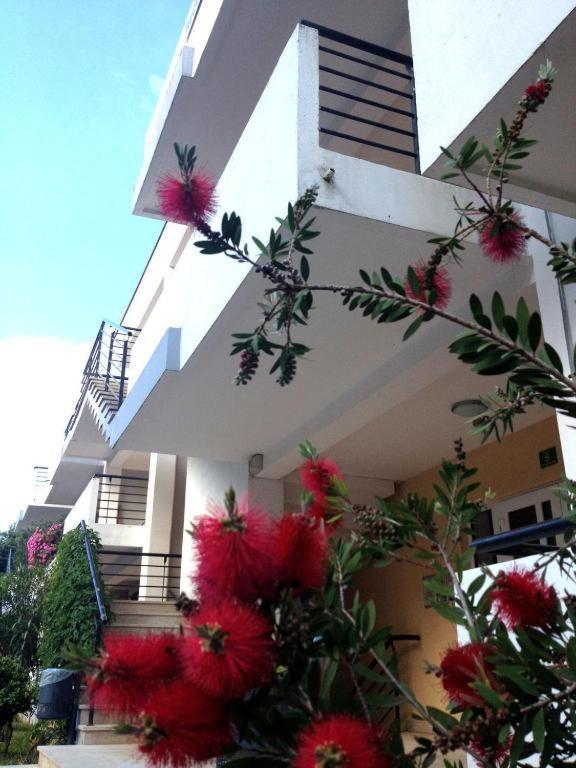 Sfinga Verudela - M Apartment Pula