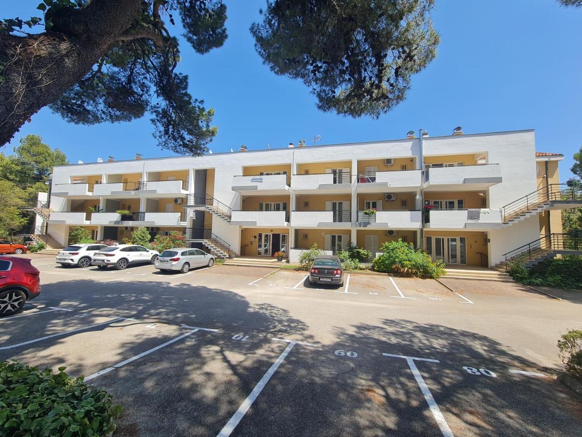 Apartment Sfinga Verudela - M